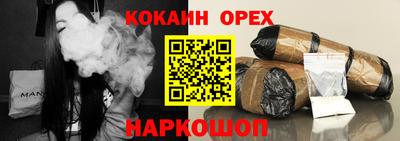 крисы Шебекино