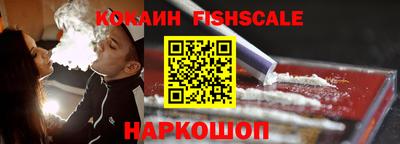 крисы Шебекино