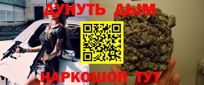 крисы Шебекино