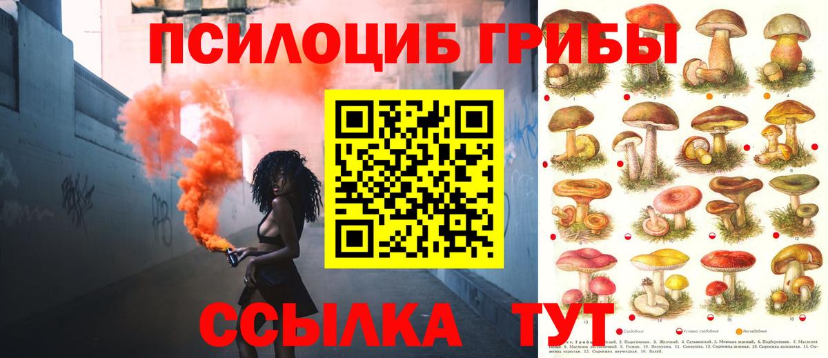 Псилоцибиновые грибы Cubensis Люберцы